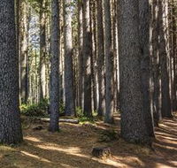 Sugarpine Walk - Accommodation Main Beach
