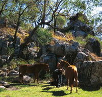 Coomba Falls - Accommodation Main Beach