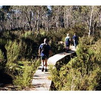 Hume and Hovell Walking Track - Henry Angel Trackhead - Accommodation Main Beach