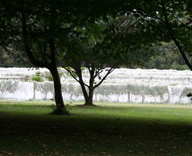 Staindl Wines - Accommodation Main Beach 0