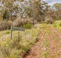Old Mountain Road Walking Track - Accommodation Main Beach