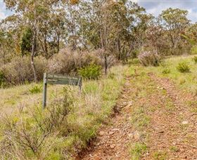 Old Mountain Road Walking Track - Accommodation Main Beach 0