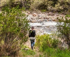 Old Mountain Road Walking Track - Accommodation Main Beach 1