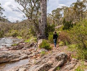 Old Mountain Road Walking Track - Accommodation Main Beach 2