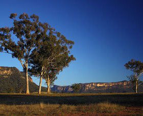 Capertee Valley Bird Trail - Accommodation Main Beach 0