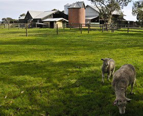 Warrook Farm - Accommodation Main Beach 4