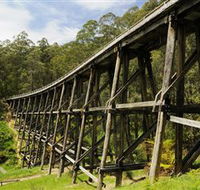Noojee Trestle Bridge - Accommodation Main Beach