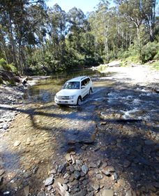 Aberfeldy Four Wheel Drive Track - Accommodation Main Beach 0
