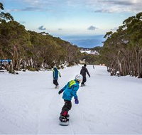 Mt Baw Baw Alpine Resort - Accommodation Main Beach