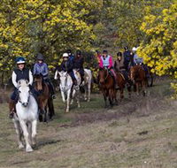 Burnelee Excursions on Horseback - Accommodation Main Beach