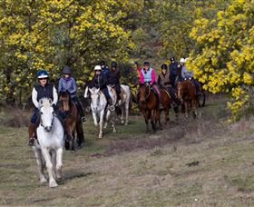 Burnelee Excursions On Horseback - Accommodation Main Beach 0