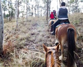 Burnelee Excursions On Horseback - Accommodation Main Beach 1