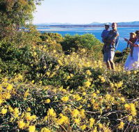 Joseph Banks Conservation Park - Accommodation Main Beach