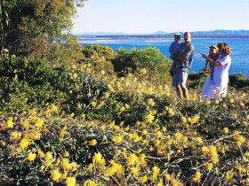Joseph Banks Conservation Park - Accommodation Main Beach 0