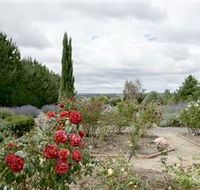 Crystal Brook Lavender Farm - Accommodation Main Beach