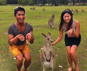 Runaway Tours - Accommodation Main Beach 0