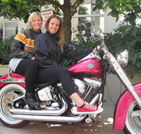 Wild Ride Harley and Motorcycle Tours - Accommodation Main Beach