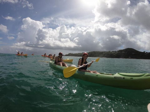 Cape Byron Kayaks - Accommodation Main Beach 3