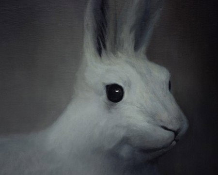 Gallery 9 - Accommodation Main Beach 2