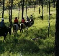 Hunter Valley Horse Riding and Adventures - Accommodation Main Beach