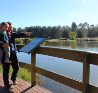 Hunter Wetlands Centre Australia - Accommodation Main Beach