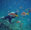 Imagine Cruises - Accommodation Main Beach
