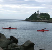 Newcastle Kayak Tours - Accommodation Main Beach