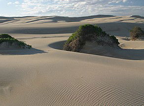 Port Stephens 4WD Tours - Accommodation Main Beach 1