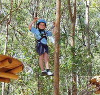 TreeTops Newcastle - Accommodation Main Beach