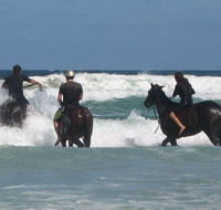 Pegasus Park Equestrian Centre - Accommodation Main Beach