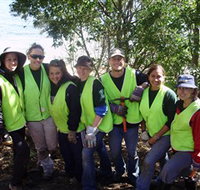 Conservation Volunteers Australia - Sydney - Accommodation Main Beach