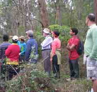 Boronia Tours - Accommodation Main Beach