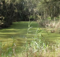 Second Ponds Creek walk - Accommodation Main Beach