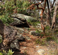 Box Head track - Accommodation Main Beach