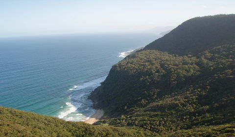 Palm Jungle Loop Track - Accommodation Main Beach 1