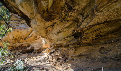 Marramarra National Park - Accommodation Main Beach 0