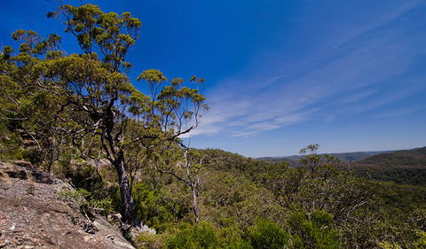 Marramarra National Park - Accommodation Main Beach 1
