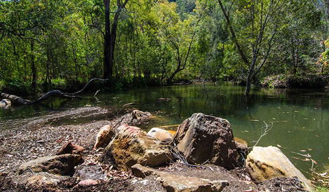 Marramarra National Park - Accommodation Main Beach 3