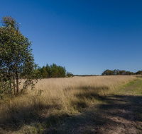 Scheyville horse riding trails - Accommodation Main Beach