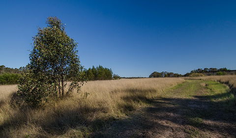 Scheyville Horse Riding Trails - Accommodation Main Beach 0