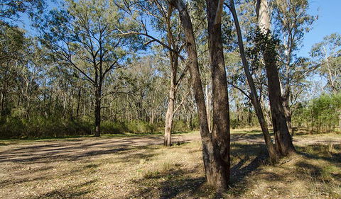 Scheyville Horse Riding Trails - Accommodation Main Beach 1