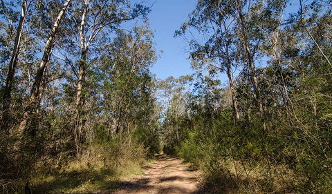 Scheyville Horse Riding Trails - Accommodation Main Beach 3