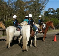 Darkes Forest Riding Ranch - Accommodation Main Beach