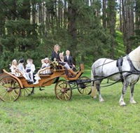 Classic Carriage Drives - Accommodation Main Beach