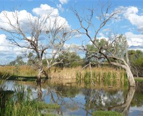 Lagoon Creek - Accommodation Main Beach 0