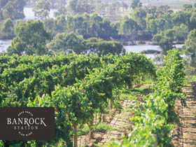 Banrock Station Wine And Wetland Centre - Accommodation Main Beach 0