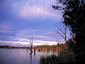 Loch Luna Game Reserve And Moorook Game Reserve - Accommodation Main Beach 0