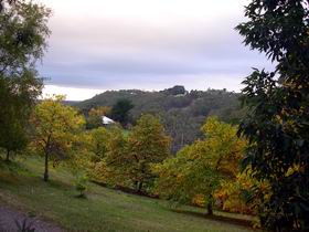 Nirvana Organic Produce And Farm - Accommodation Main Beach 2