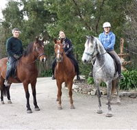 Academy of Dressage - Accommodation Main Beach