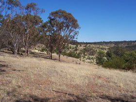 Onkaparinga River National Park - Accommodation Main Beach 0